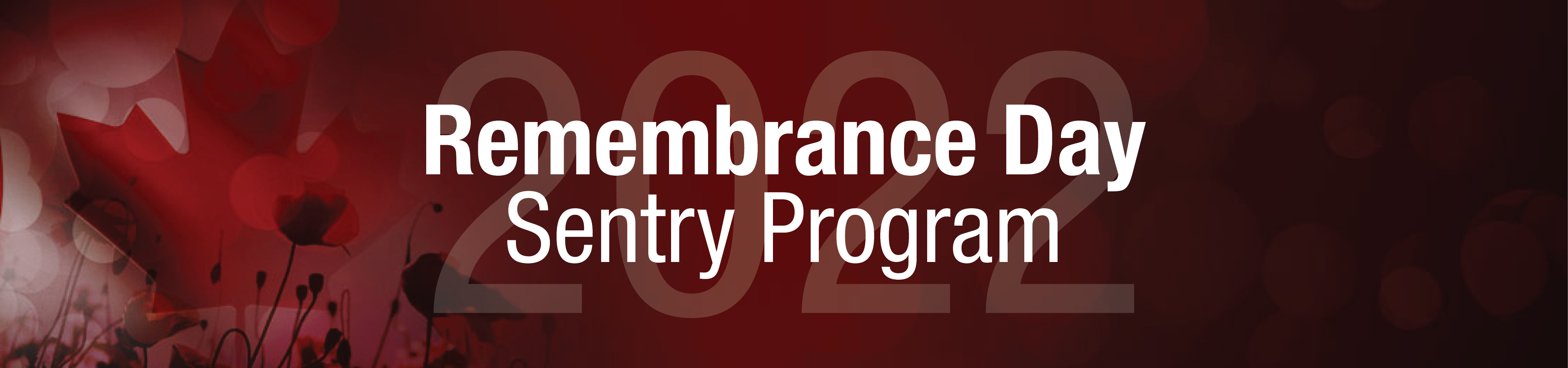 Remembrance Day Sentry Program