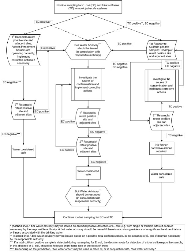 A decision tree for determining recommended actions for responding to E. coli and total coliform positive samples, collected during routine monitoring of public systems