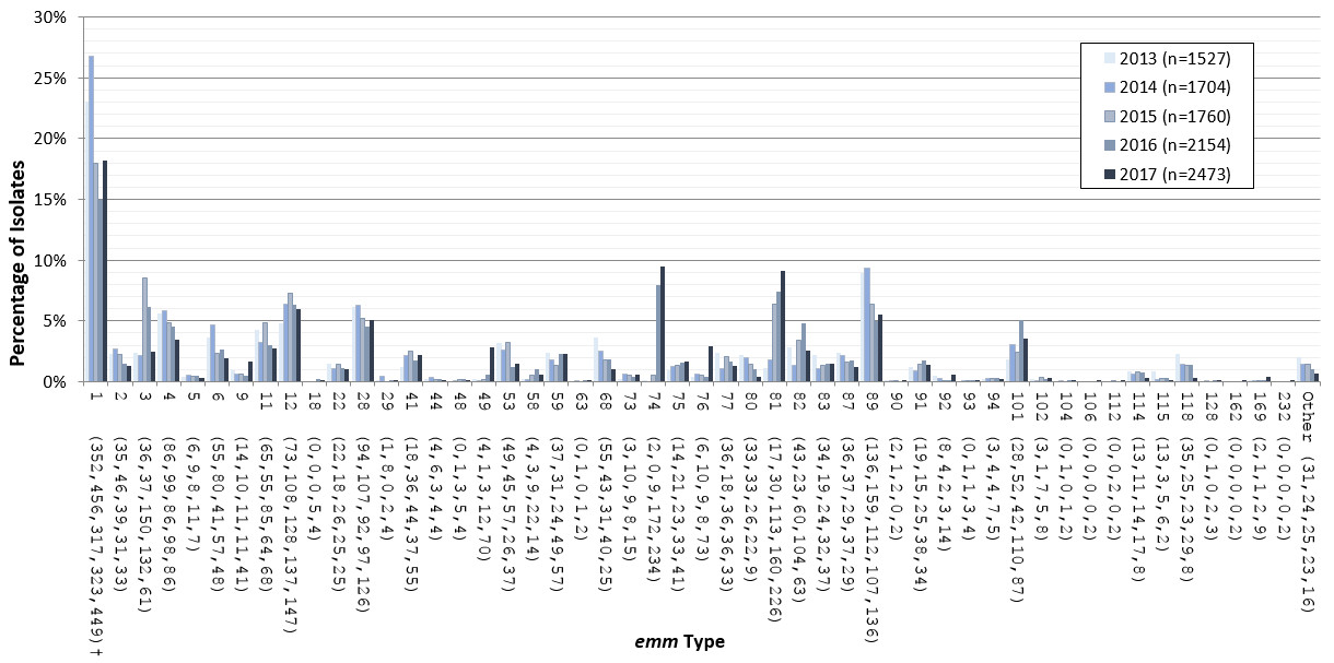 Bar graph displaying emm types of S. pyogenes from 2013 to 2017 by percentage based on the total number of isolates tested annually.