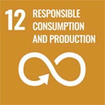 12 Responsible consumption and production 
