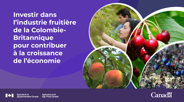 Le gouvernement du Canada investit dans l’industrie fruitière de la ...