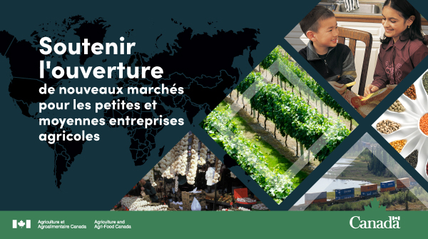 Le gouvernement du Canada investit plus de 1,6 million de dollars dans ...