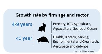 Infographic 6: Client survey – Growth rate by firm age and sector