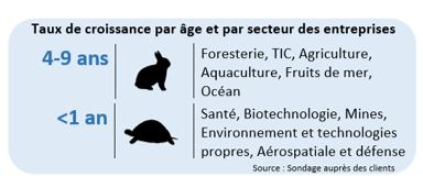 Infographie 6 : Sondage auprès de la clientèle – Taux de croissance par âge des entreprises et par secteur