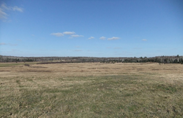 Champs de tir Burwash