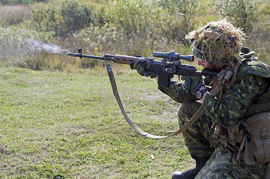 Russian Woodland Camo Stencils, Rifle