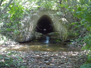 A closed and perched bottom culvert