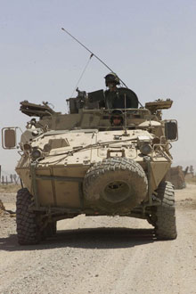 The Bison Armoured Vehicles support the light armoured vehicle (LAV) IIIs.