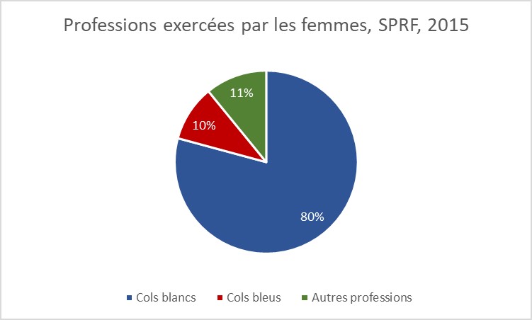 Figure 11 : Professions exercées par les femmes, 2015
