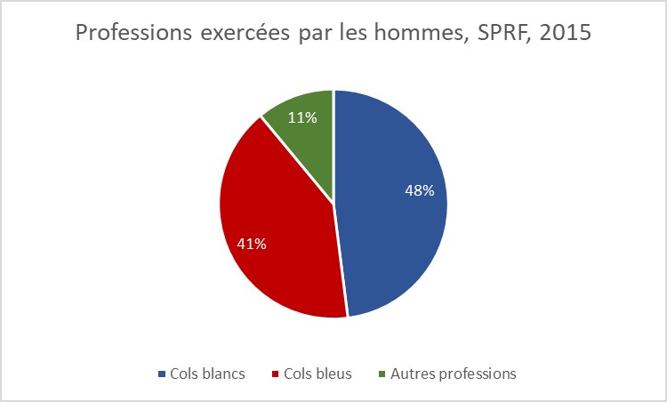 Figure 12 : Professions exercées par les hommes, SPRF, 2015