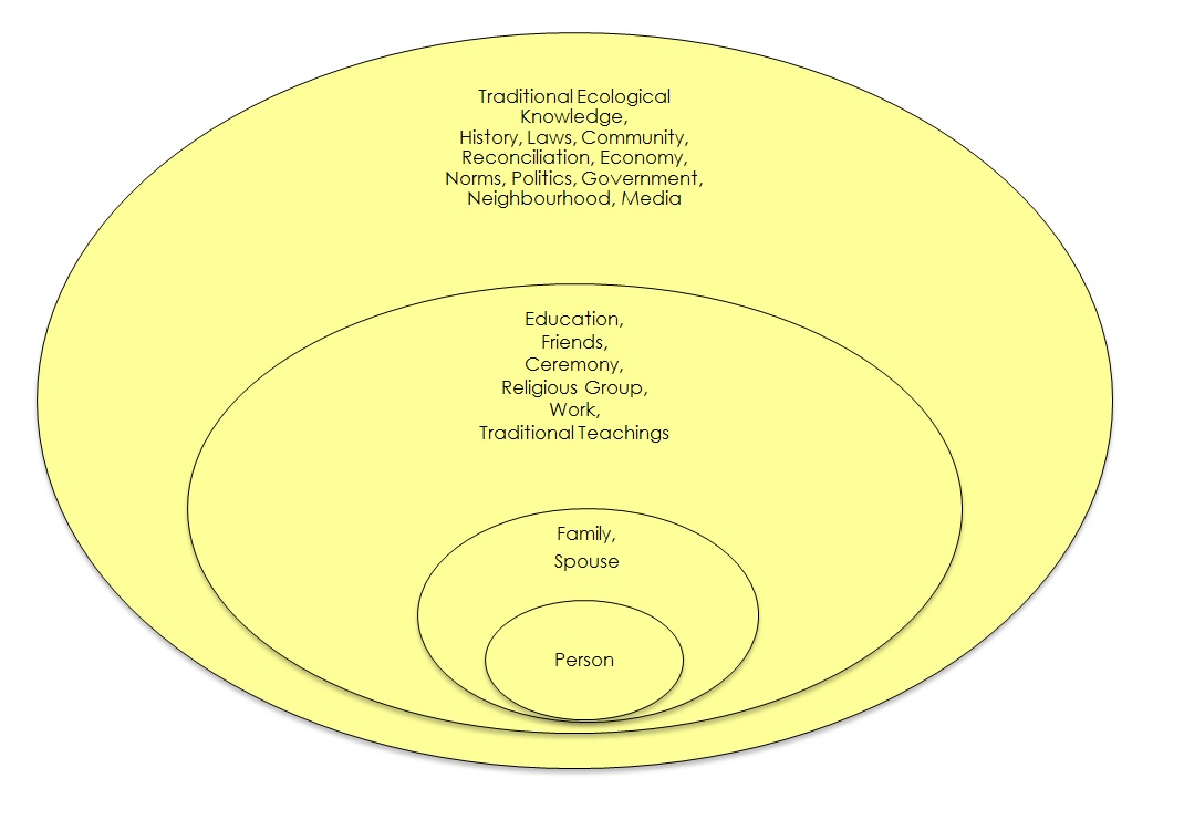 A diagram showing expanding circles of social supports. Text version below.