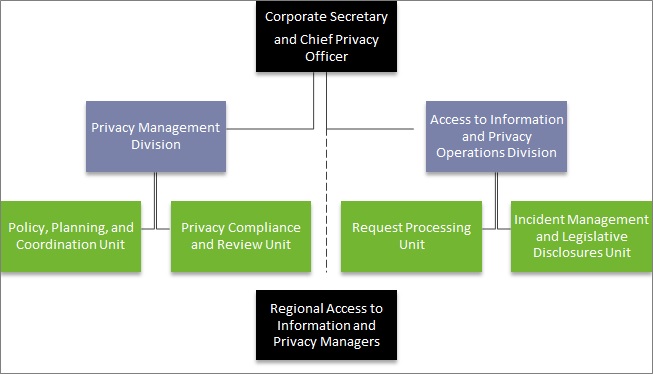 Organization of the privacy function adn access to infromation: description follows