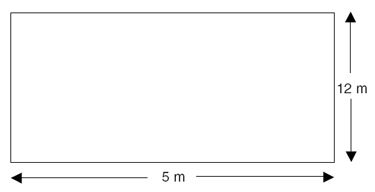 This is an image of a rectangle with a length of 5 meters and a width of 12 meters.