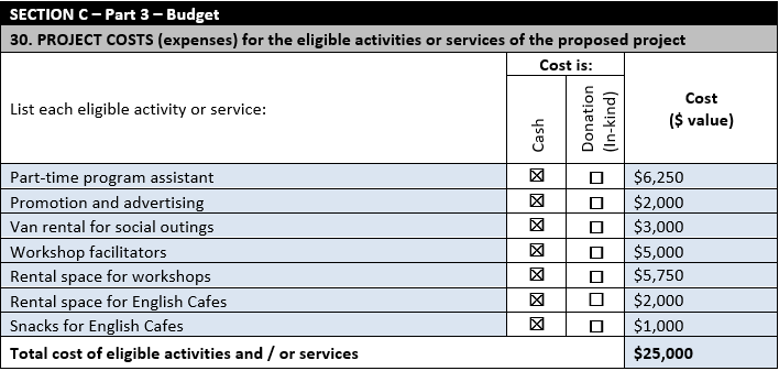 Image 1: Example of a completed budget table