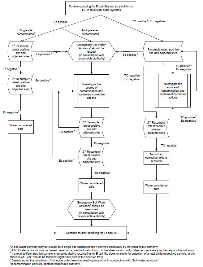 A decision tree for determining recommended actions for responding to E. coli and total coliform positive samples, collected during routine monitoring of public systems.