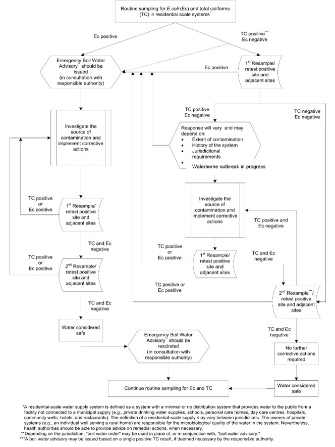 A decision tree for determining the recommended actions for responding to E. coli and total coliform positive samples, collected during routine monitoring of residential scale systems