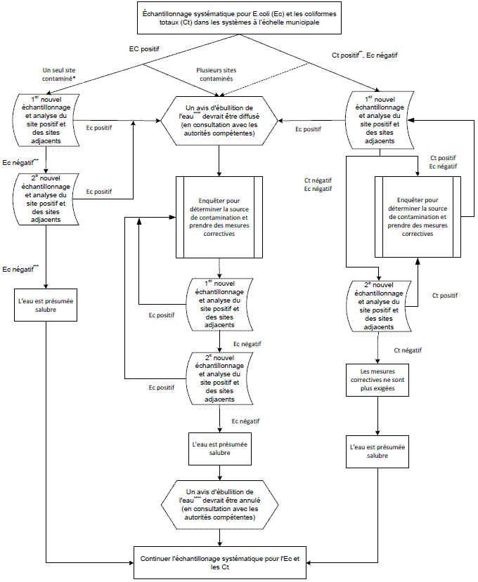 Figure de l'exemple 1