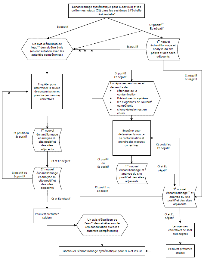 Figure de l'exemple 1