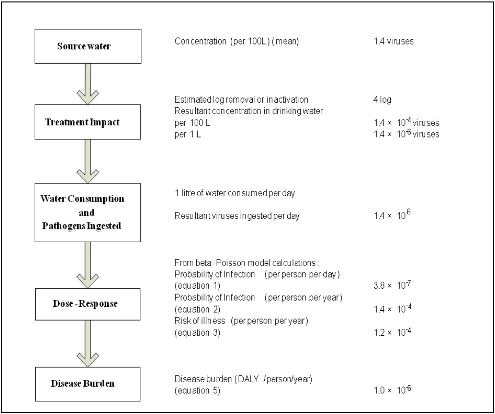 A flow chart outlining the steps in a quantitative microbial risk assessment, including an example calculation under specified conditions, for enteric viruses in drinking water.