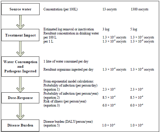 A flow chart outlining the steps in a quantitative microbial risk assessment, including an example calculation under specified conditions, for Cryptosporidium in drinking water