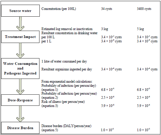 A flow chart outlining the steps in a quantitative microbial risk assessment, including an example calculation under specified conditions, for Giardia in drinking water