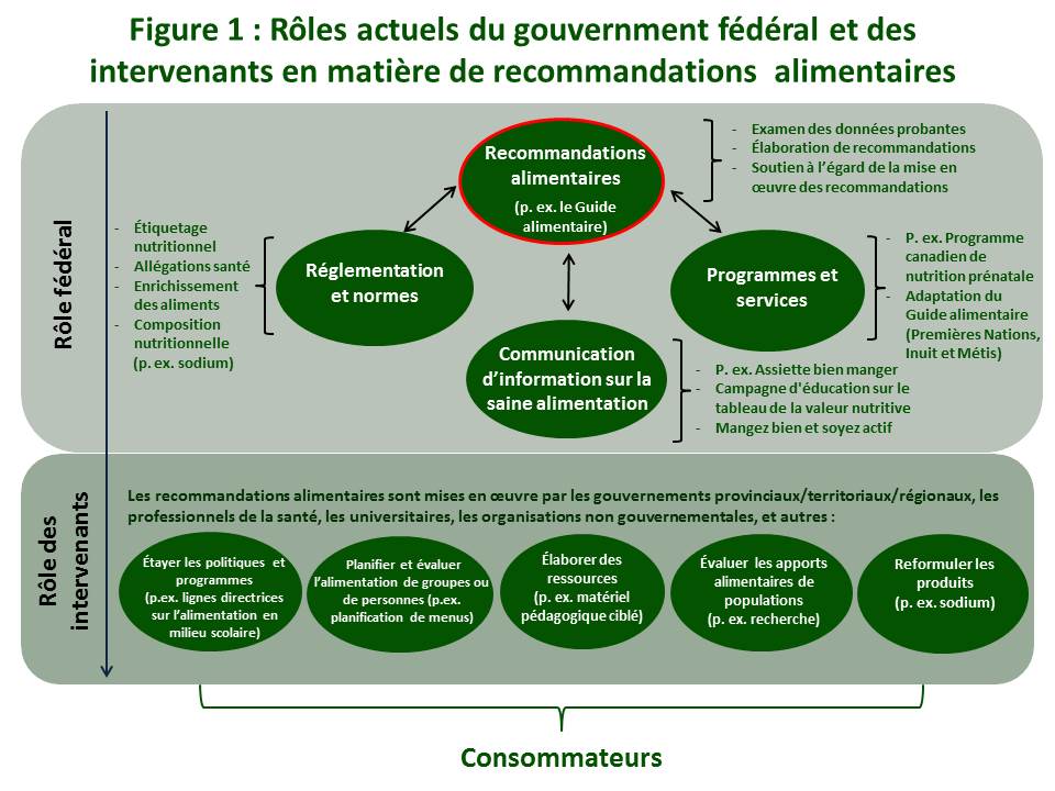 Figure 1 : Rôles actuels du gouvernement fédéral et des intervenants en matière de recommandations alimentaires