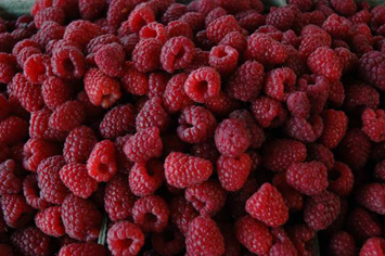 raspberries