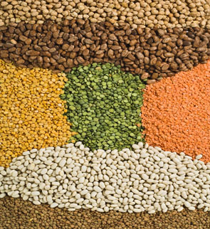 Various types of pulses
The Government of Canada has invested more than $230,000 to increase export sales of
special crops and help the mustard and sunflower seed industries remain competitive in the
global marketplace.