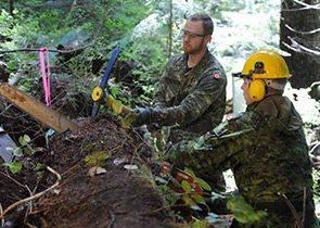 Clearance Divers and Explosives Ordinance Disposal (EOD) technicians Master Seaman (MS) Kenneth Jones and Petty Officer 2nd class (PO2) Shawn Goodine use a chain saw and pick to remove a large downed tree at the site of the Avro Anson aircraft crash on May 6, 2014.