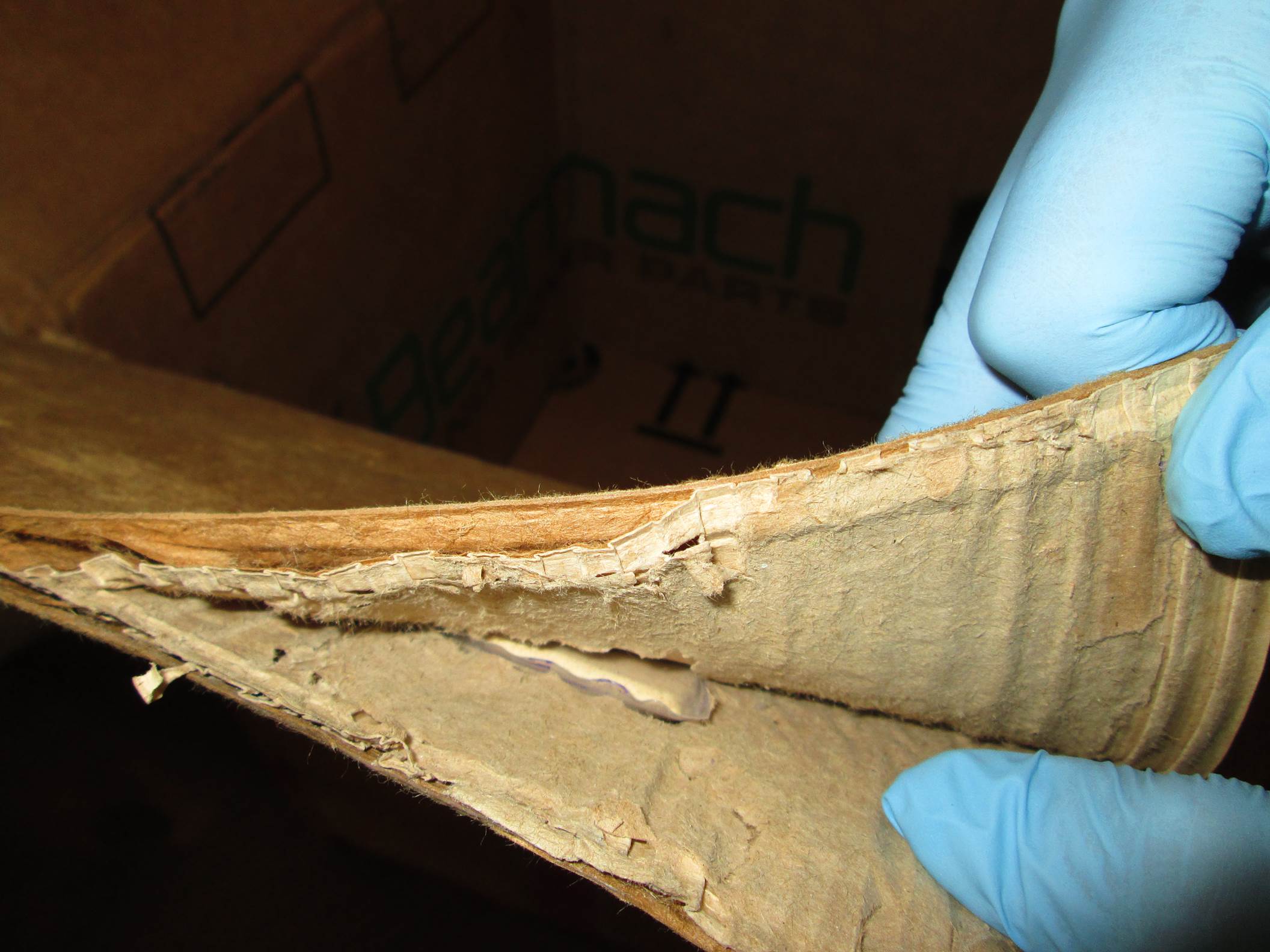 Saisie 1 : Les 500 grammes d'héroïne présumée étaient dissimulés dans la paroi interne de la boîte en carton.