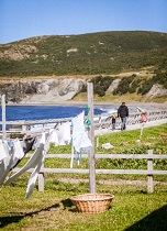 Hospitality Newfoundland and Labrador works with industry partners and operators to ensure authentic and unique experiences in regions across the province, such as Gros Morne.