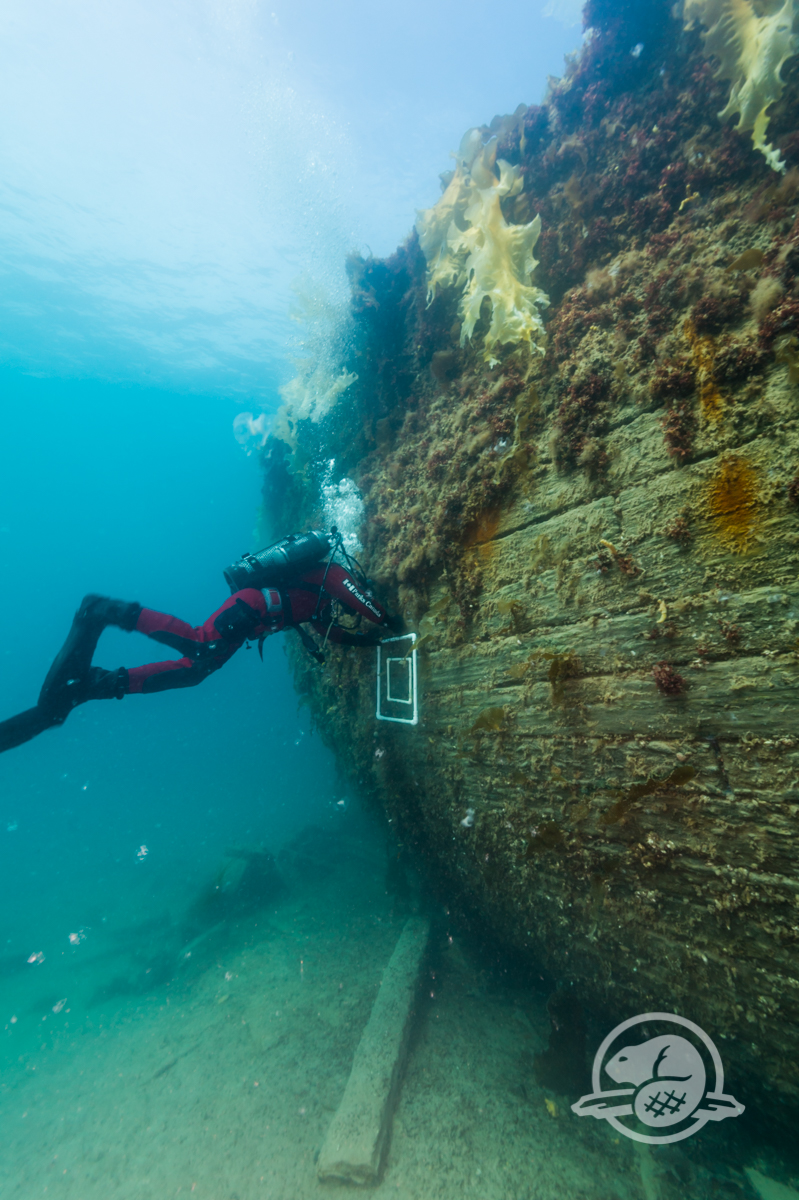 Mission Erebus and Terror 2015 allowed Parks Canada archaeologists to recover various artifacts and map the shipwreck. Here, an underwater archaeologist inspects the hull of HMS Erebus. Her final resting place is a mere 11 meters from the surface of the water.
