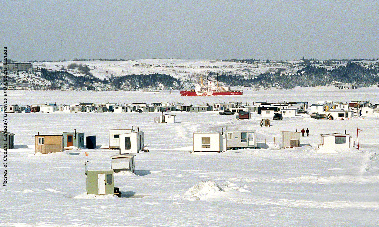 PÊCHE RÉCRÉATIVE HIVERNALE AU POISSON DE FOND DANS LE FJORD DU SAGUENAY