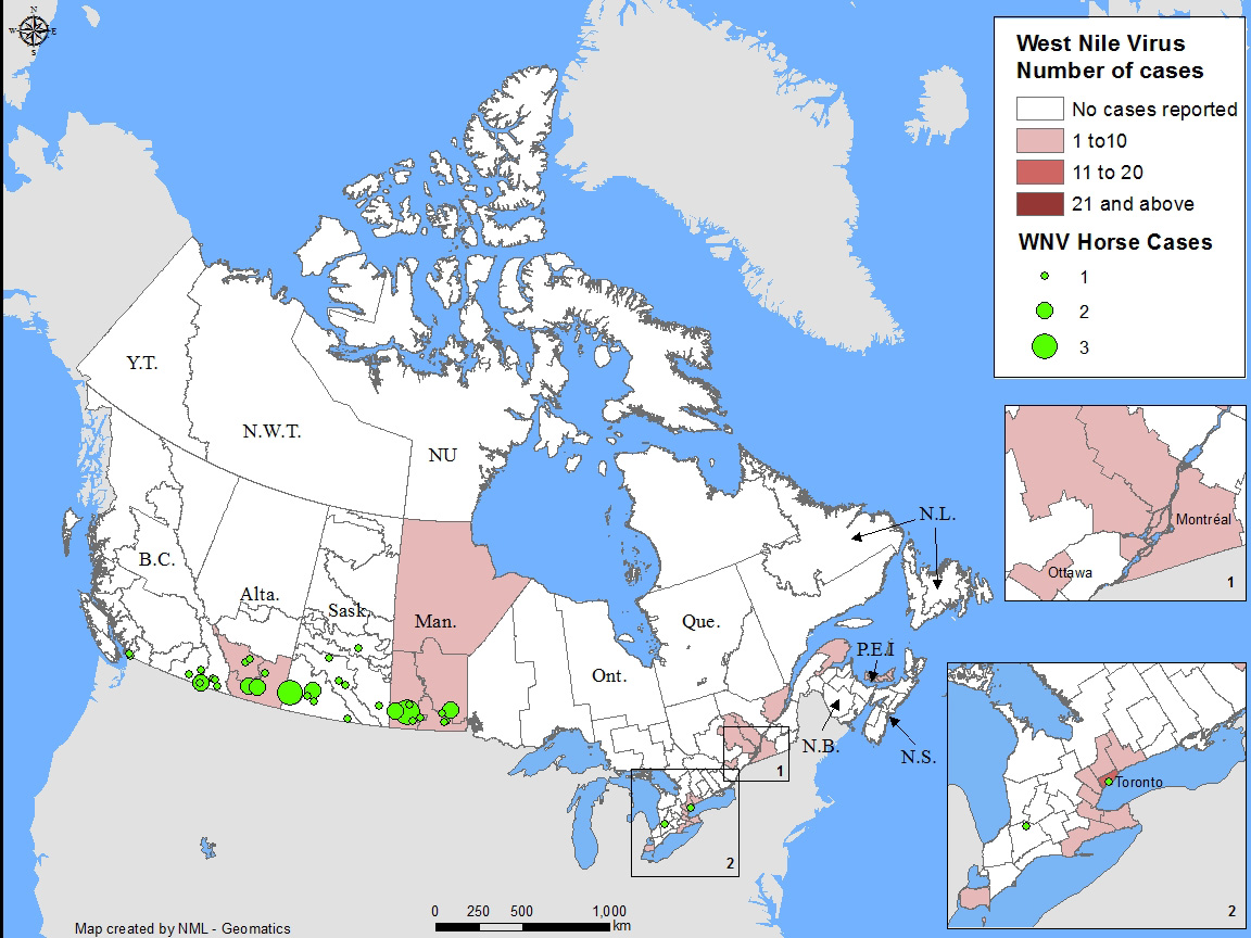 Map showing geographic distribution of WNV in Humans (clinical cases) and horses in Canada.