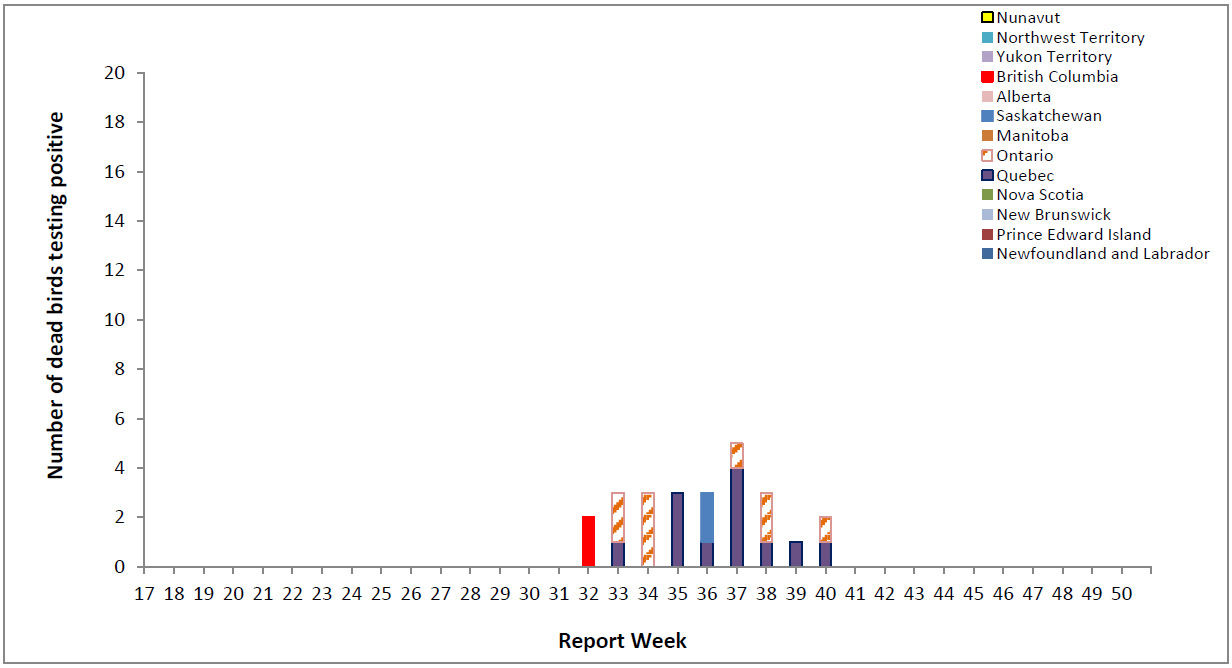 Reported number of dead birds tested positive for WNV in Canada, by province/ territory and by report week, 2016 season