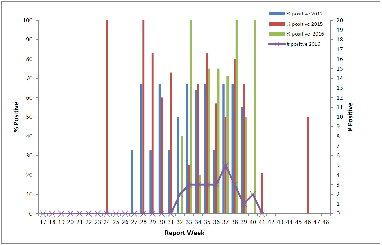 Figure 5: Percentage of dead birds tested positive for WNV by report week in 2012, 2015 and 2016, and number of dead birds tested positive for WNV, by report week, 2016, in Canada