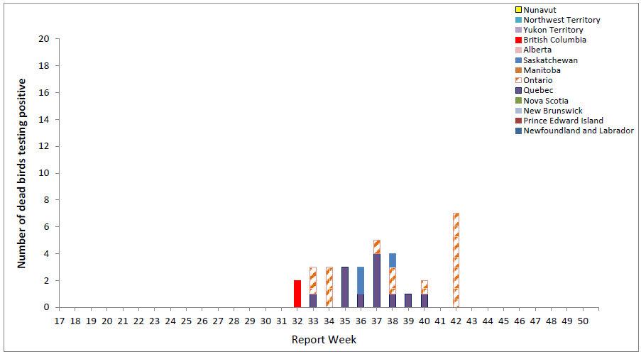 Reported number of dead birds tested positive for WNV in Canada, by province/ territory and by report week, 2016 season