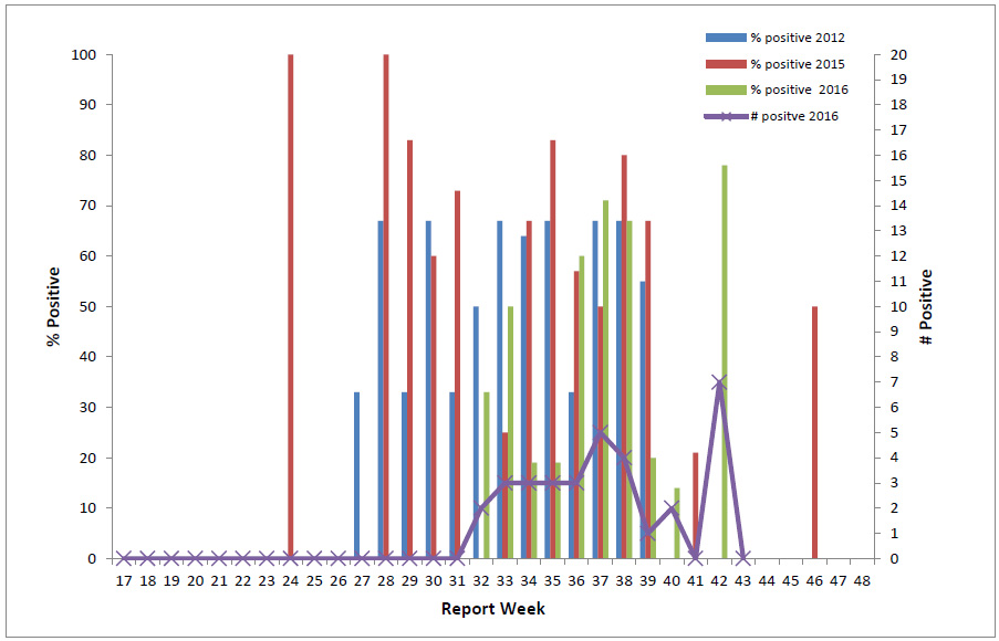 Figure 5: Percentage of dead birds tested positive for WNV by report week in 2012, 2015 and 2016, and number of dead birds tested positive for WNV, by report week, 2016, in Canada
