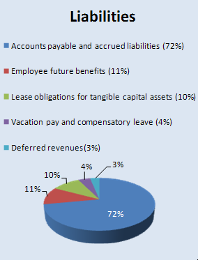 Figure 6 - Liabilities