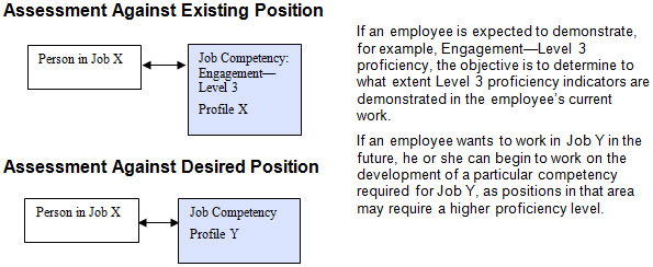 Competency Assessment Options. Text version below: