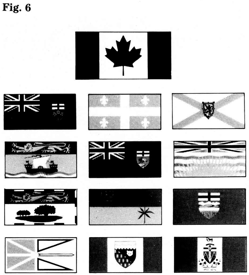 Figure 6: Flags