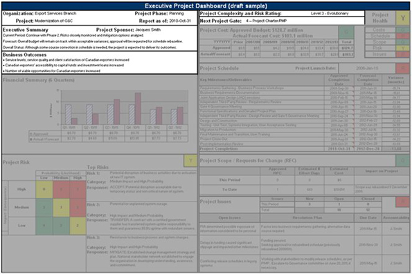 Image highlighting the Project Overview section of an executive project dashboard. Text version below: