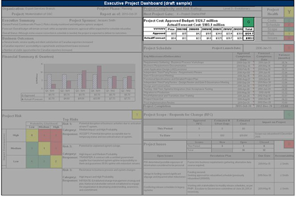 Image highlighting the Project Cost section of an executive project dashboard. Text version below: