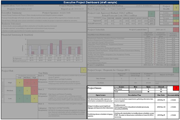 Image highlighting the Project Issues section of an executive project dashboard. Text version below: