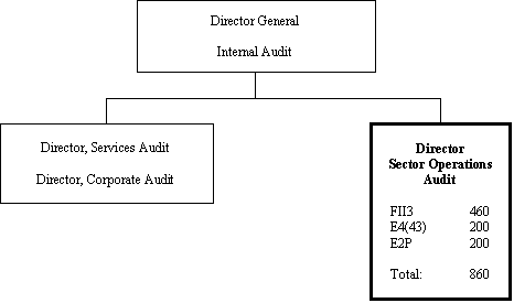 Org chart of the DIRECTOR SECTOR OPERATIONS AUDIT