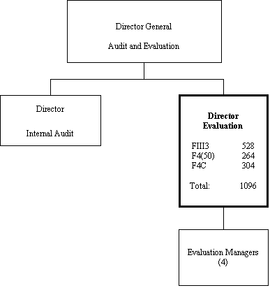 Org chart of the DIRECTOR EVALUATION