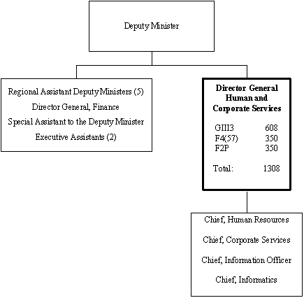 Org chart of the DIRECTOR GENERAL HUMAN AND CORPORATE SERVICES