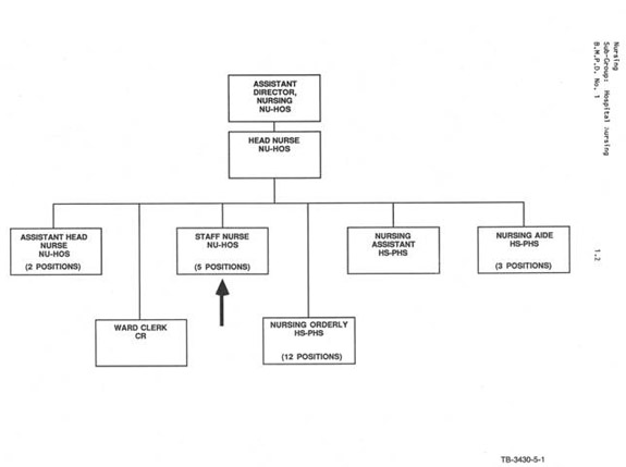 Organizational chart illustrating the reporting relationship for Staff Nurses NU-HOS. Text version below:
