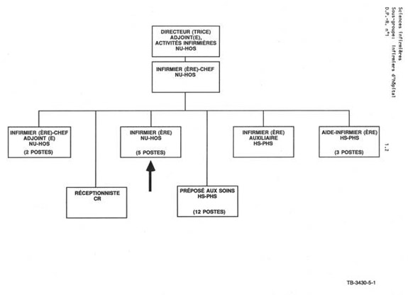 Organigramme qui illustre le lien hiérarchique pour un infirmier (NU HOS). Version textuelle ci-dessous: