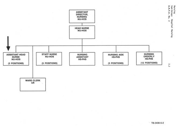 Organizational chart illustrating the reporting relationship for Assistant Head Nurses NU-HOS. Text version below: